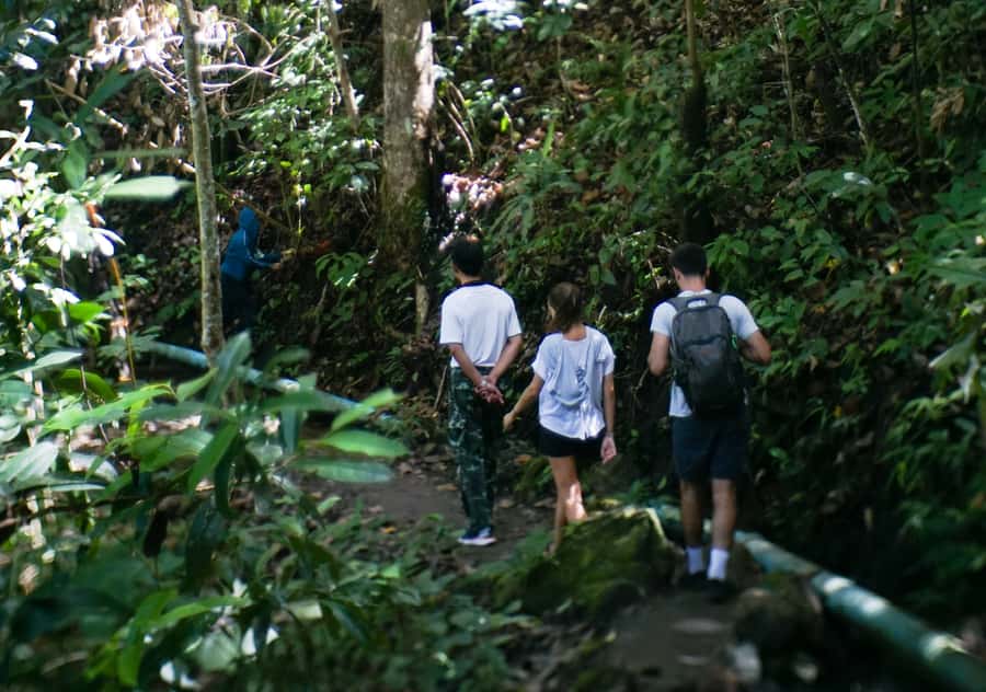 From Chiang Mai: Doi Inthanon National Park Day Trip & Hike - A short stop at the Hmong community market
