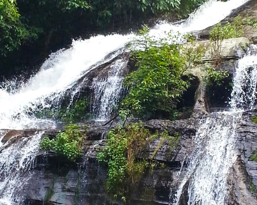 From Chiang Mai: Doi Inthanon National Park Day Trip & Hike - The Pha Dok Siew Trail is the heart of the day
