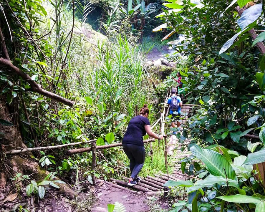 From Chiang Mai: Doi Inthanon National Park Day Trip & Hike - Why a local guide adds value to the hike