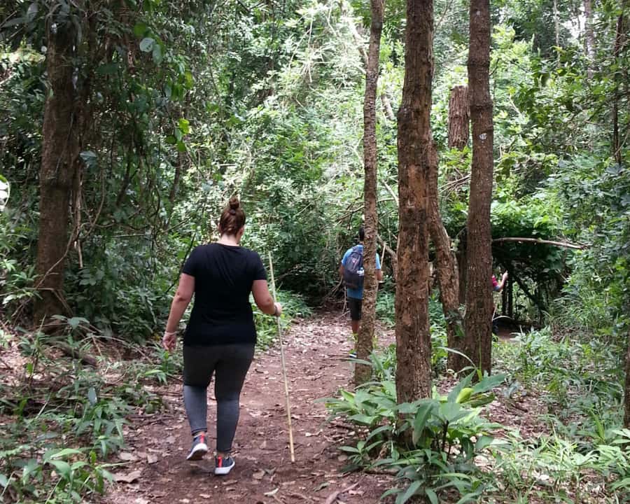 From Chiang Mai: Doi Inthanon National Park Day Trip & Hike - Mae Klang Luang and the Karen village visit