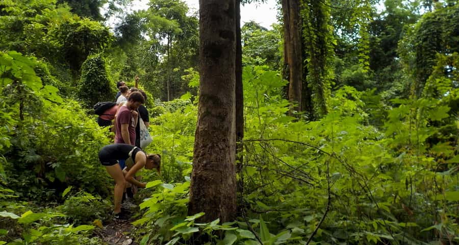 From Chiang Mai: Mae Taeng Valley Hike & Bike Day Trip - FAQ