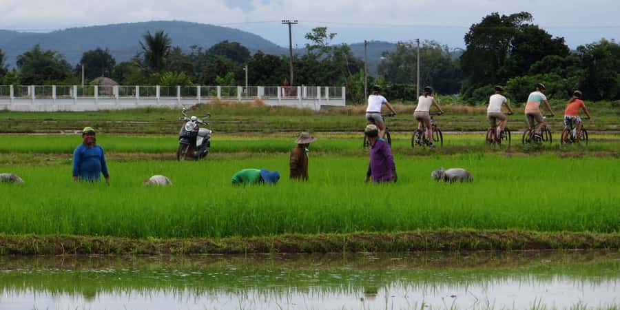 From Chiang Mai: Mae Taeng Valley Hike & Bike Day Trip - A 5-kilometer walk through village country