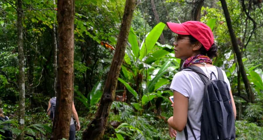 From Chiang Mai: Mae Taeng Valley Hike & Bike Day Trip - Down to the valley for a 15 to 20-kilometer ride