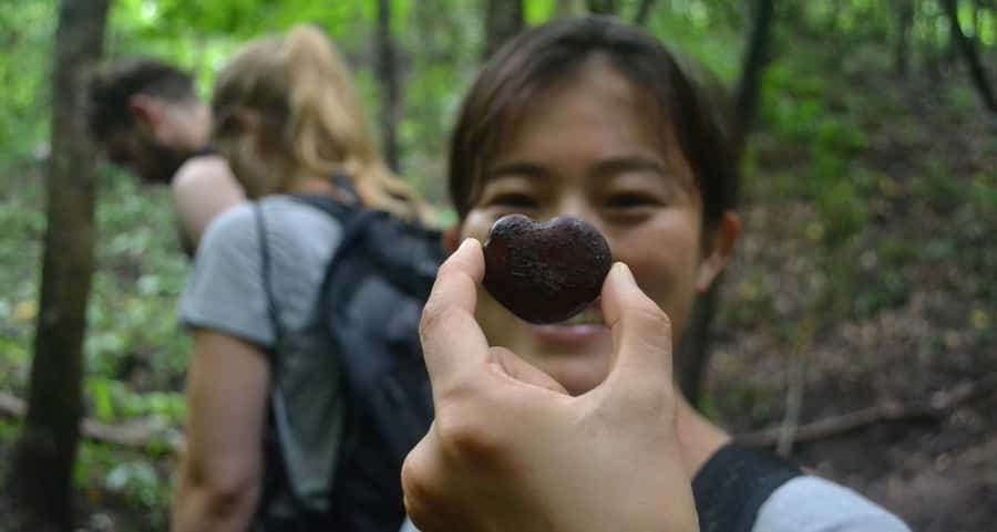 From Chiang Mai: Mae Taeng Valley Hike & Bike Day Trip - Thai lunch with a view of the hills