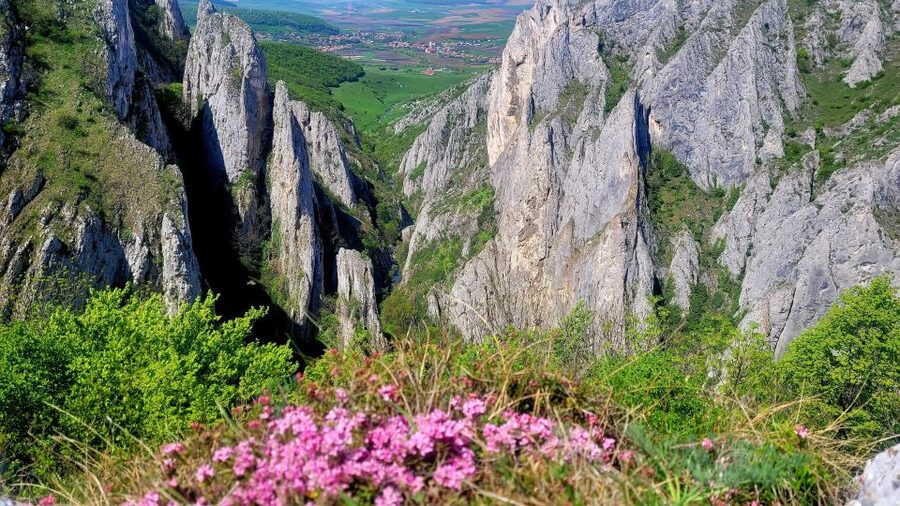 From Cluj: Turda Salt Mine, Gorge, and Remetea Full-Day Trip - A quiet finish at the Archangels monastery