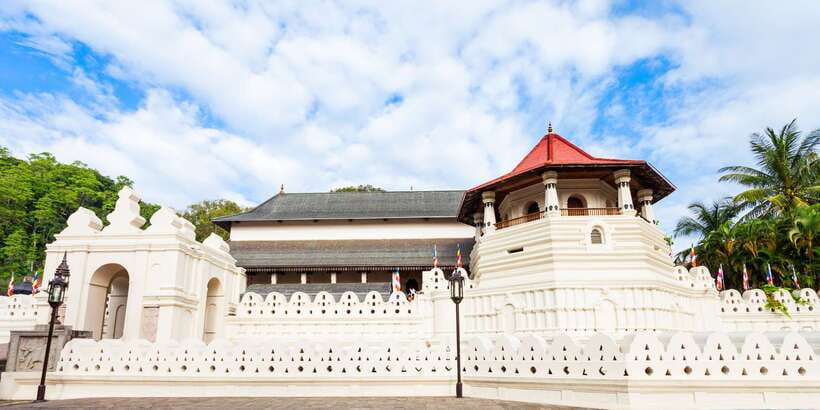 From Colombo: Kandy Full-Day Trip - Royal Botanic Gardens: beautiful, but too short