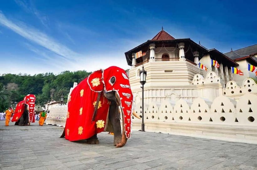 From Colombo: Kandy, Pinnawala and Tea Factory Full-Day Trip - Key points to know before booking