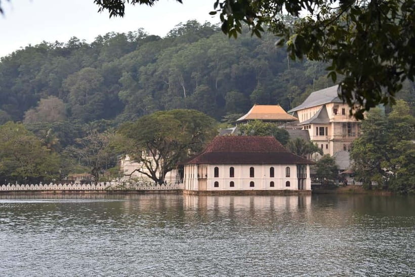 From Colombo: Kandy, Pinnawala and Tea Factory Full-Day Trip - Tea at New Giragama Factory