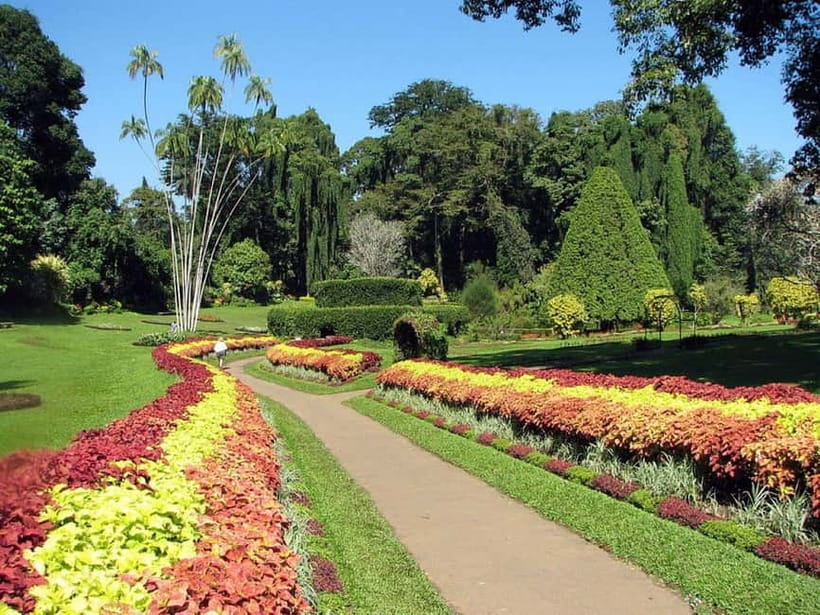 From Colombo: Kandy, Pinnawala and Tea Factory Full-Day Trip - Susantha Spice and Herbal Garden