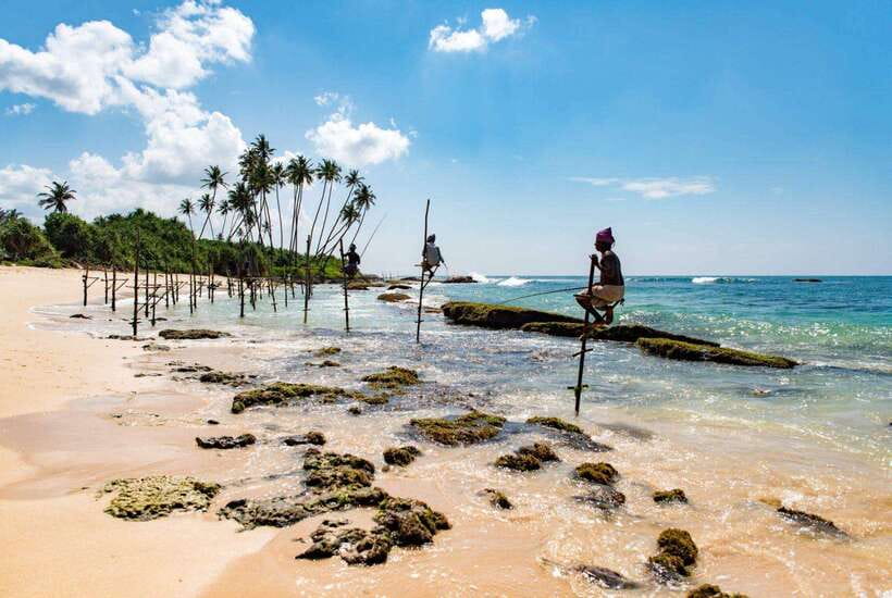 From Colombo to Galle Fort and Jungle Beach Day Trip - Hikkaduwa, turtles, and the limits of the wildlife stops