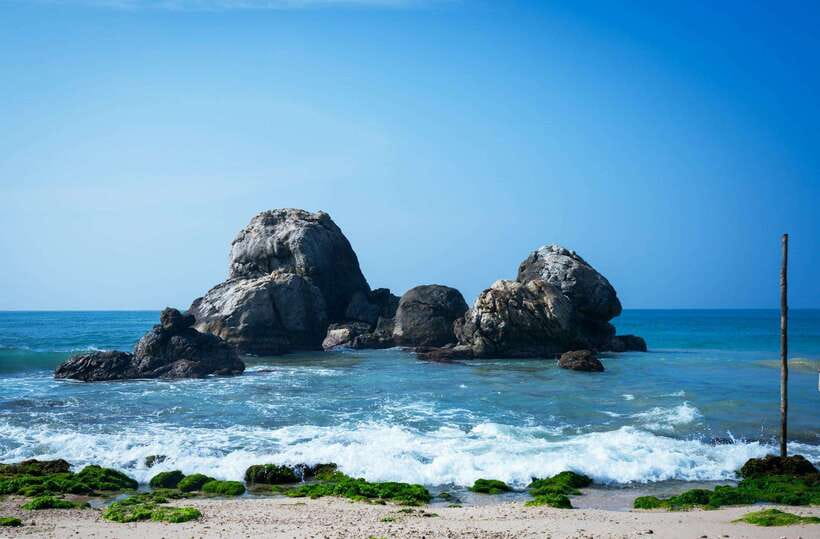 From Colombo to Galle Fort and Jungle Beach Day Trip - Food, drinks, and what the $70 covers
