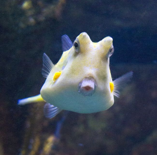 From Costa Brava: Barcelona Day Trip with Aquarium Visit - Las Ramblas gives you freedom, but not a guided Barcelona tour