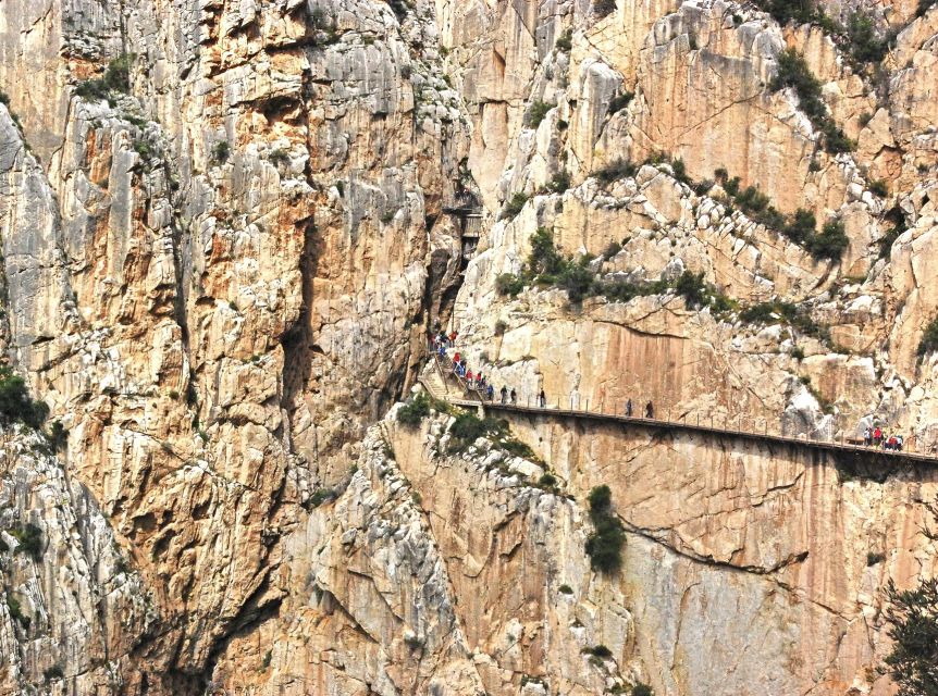 From Costa del Sol: Caminito del Rey Day Trip - Key points to know before you book