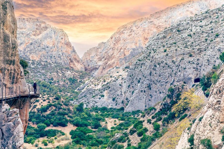 From Costa del Sol: Caminito del Rey Day Trip - Is the Caminito del Rey worth a full day?