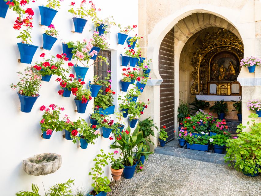 From Costa del Sol: Day Trip to Cordoba Free Time - Who will get the most from this excursion