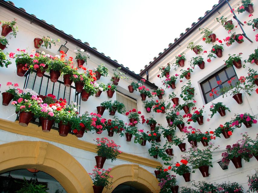 From Costa del Sol: Day Trip to Cordoba Free Time - The Jewish Quarter and Córdoba’s narrow lanes