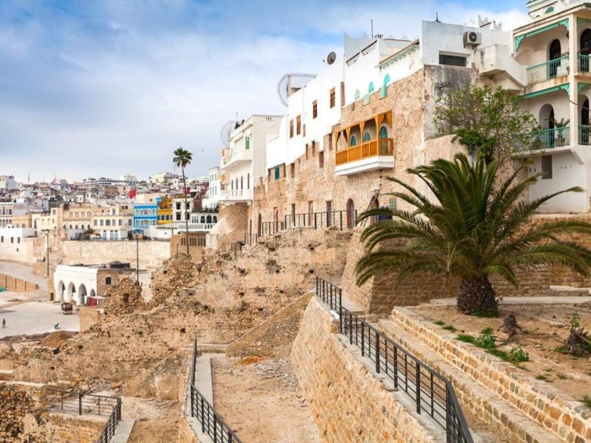 From Costa del Sol: Discover Tangier on a Guided Day Trip - Walking through the Kasbah, Medina, and Souk