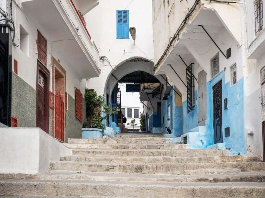 From Costa del Sol: Discover Tangier on a Guided Day Trip - Returning through the port and back to Spain