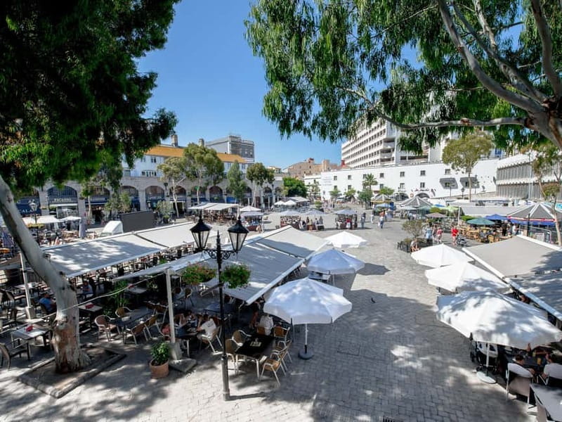 From Costa del Sol: Gibraltar Day Trip with Free Time - Food, shopping, and the practical side of town