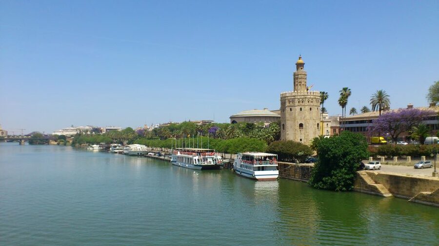 From Costa del Sol & Malaga: Seville Day Trip - Free time for lunch and your own Seville