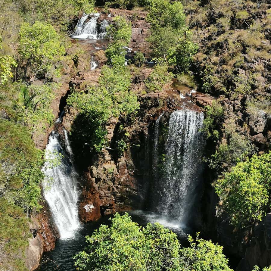 From Darwin: Litchfield National Park Small-Group Day Trip - Key points before you book