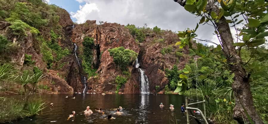 From Darwin: Litchfield National Park Small-Group Day Trip - What the $152 price really covers