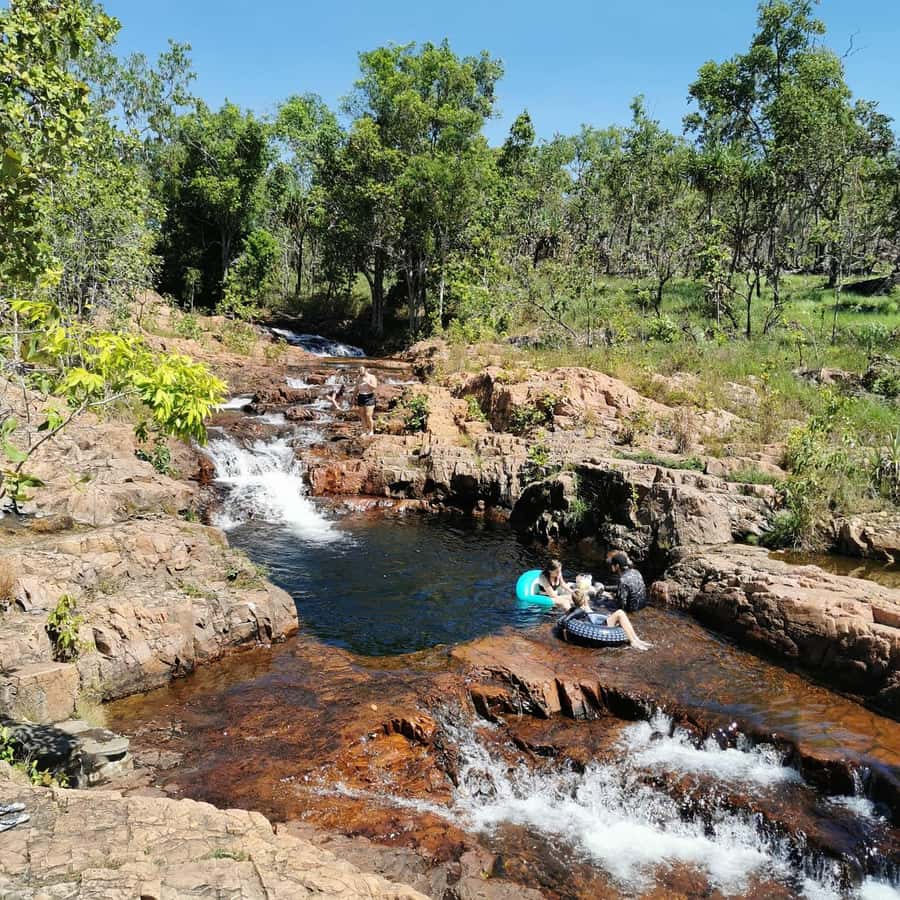 From Darwin: Litchfield National Park Small-Group Day Trip - Why Litchfield works so well as a Darwin day trip