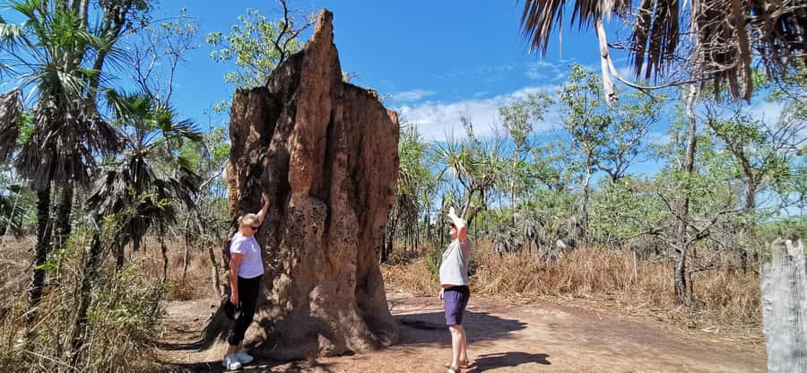 From Darwin: Litchfield National Park Small-Group Day Trip - Magnetic and Cathedral Termite Mounds