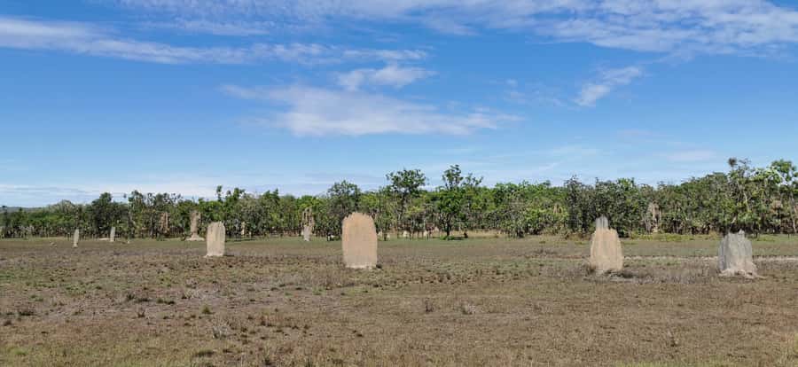 From Darwin: Litchfield National Park Small-Group Day Trip - Berry Springs and the warm-water finish