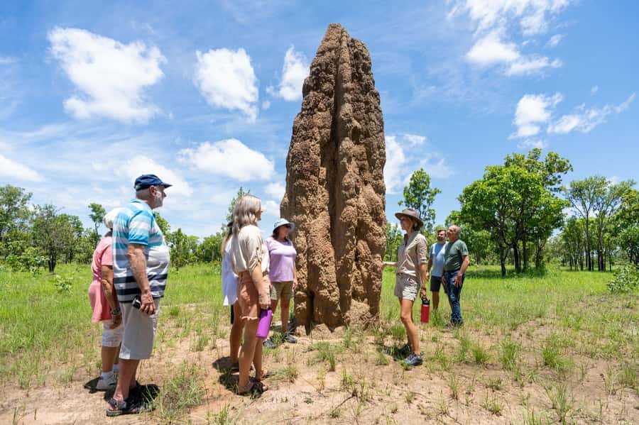 From Darwin: Litchfield National Park & Waterfalls Day Trip - Key things to know before booking