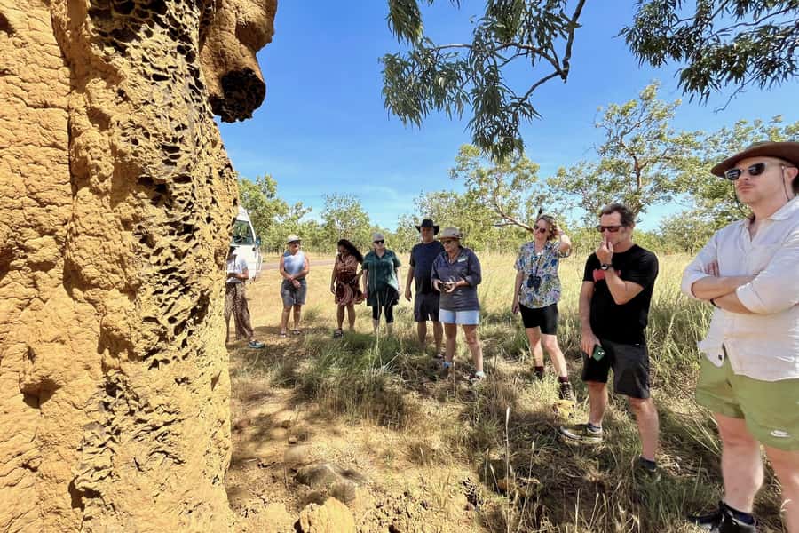 From Darwin: Litchfield National Park & Waterfalls Day Trip - Buley Rockholes: a second chance to cool off