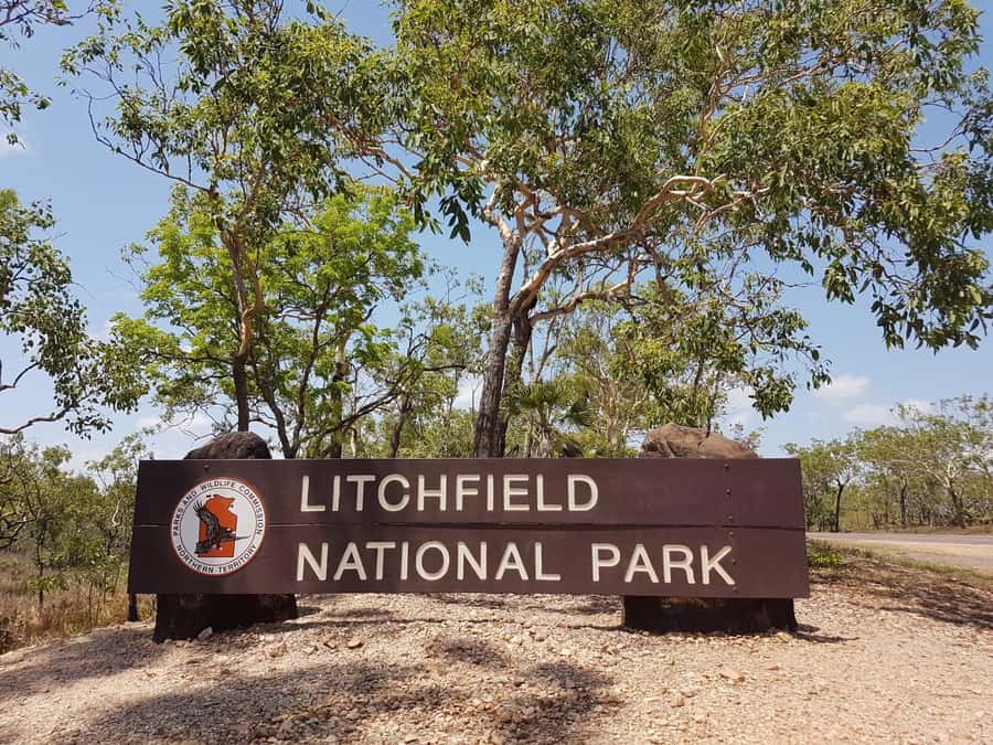 From Darwin: Litchfield National Park & Waterfalls Day Trip - Adelaide River: crocodiles or Fogg Dam