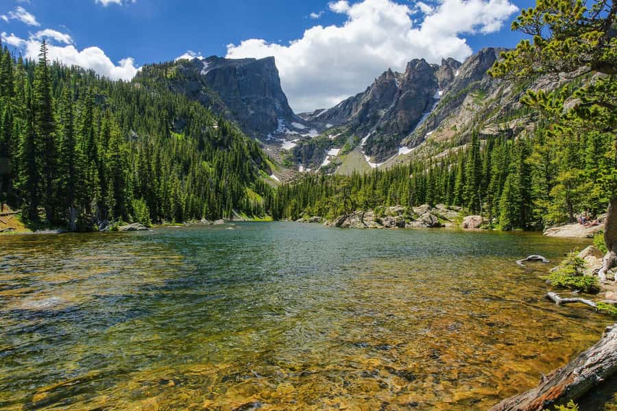 From Denver: Rocky Mountain National Park Day Trip and Lunch - Who Should Take This Tour?