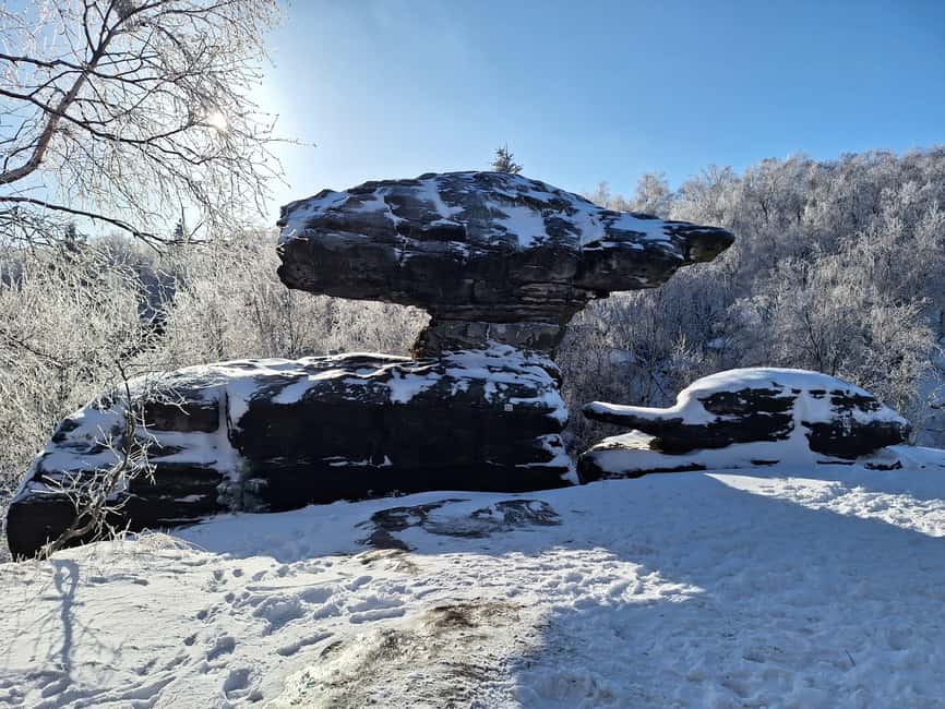 From Dresden: Bastei Bridge & Bohemian Switzerland Day Trip - What to bring and who should book