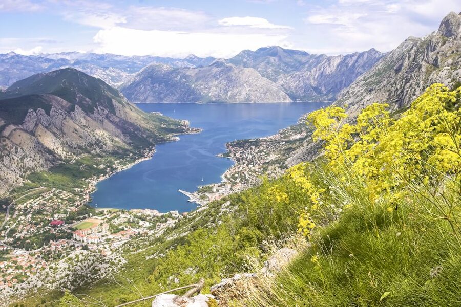 From Dubrovnik: Montenegro Day Trip - Three hours in Kotor Old Town