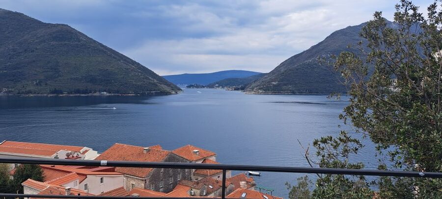From Dubrovnik: Perast, Kotor & Budva Small-Group Day Trip - What your guide adds to the day
