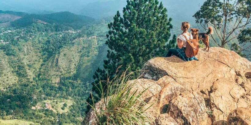 From Ella- All inclusive Day Trip of 8 Iconic Sights & Train - The Demodara to Ella train ride