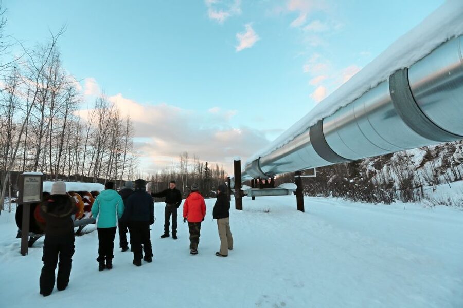 From Fairbanks: Arctic Circle Northern Lights Full-Day Trip - Leaving Fairbanks around 1 PM