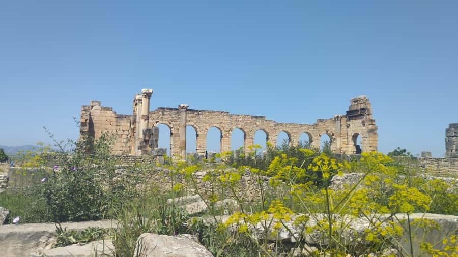 From Fes: Meknes Volubilis and Moulay Idriss Day Trip - Should you book this day trip?