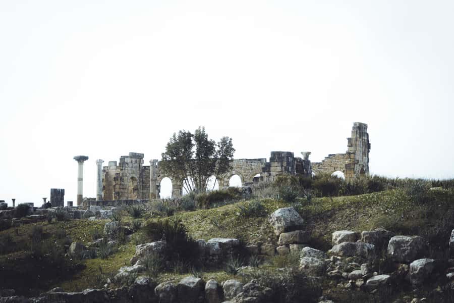 From Fes: Volubilis, Moulay Idriss and Meknes Full-Day Trip - Three very different stops in one day
