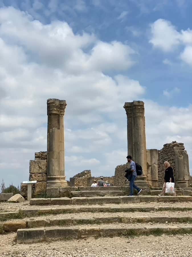 From Fes: Volubilis, Moulay Idriss, & Meknes Full-Day Trip - Timing, food, and practical comfort