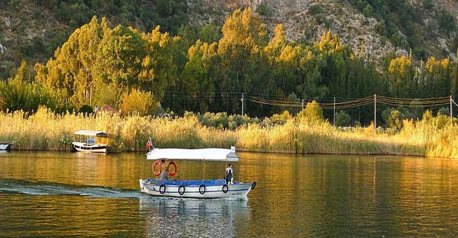 From Fethiye: Dalyan Day Trip with Mud Bath and Turtle Beach - Cruising the Dalyan River by boat