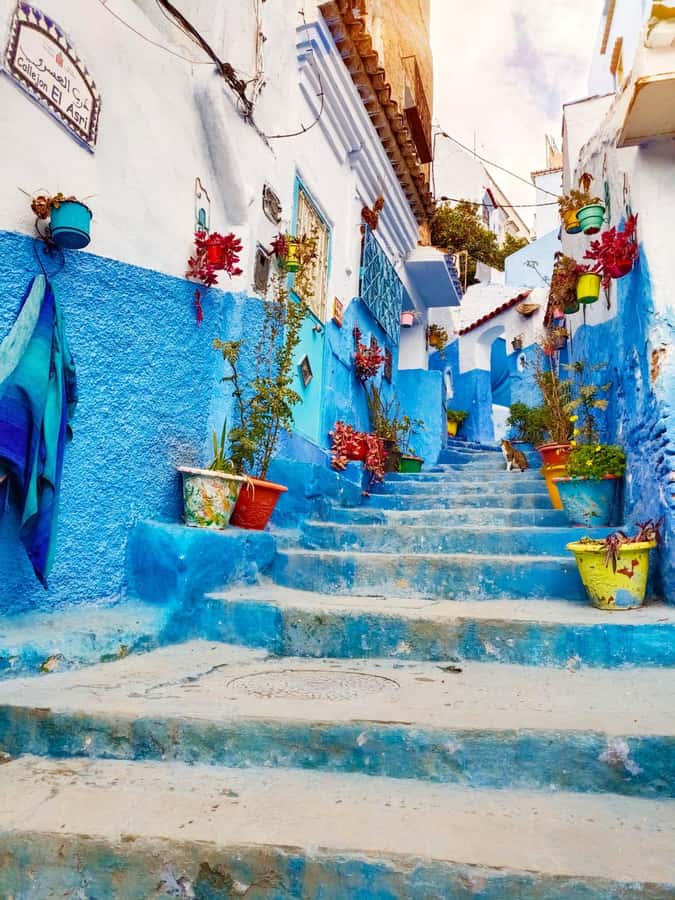 From Fez : Memorable Day Trip to Chefchaouen the Blue City - Pickup in Fez: simple, but confirm the details