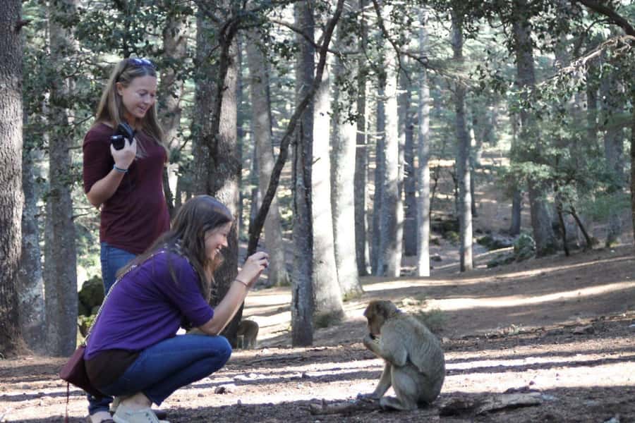 From Fez: Middle Atlas Day Trip with Ifrane National Park - Key points to know before you go