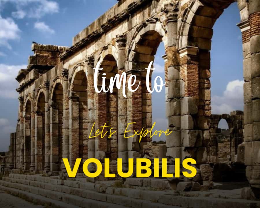 From Fez: Volubilis Moulay Idriss & Meknes Full-Day Trip - Why this Fez day trip works