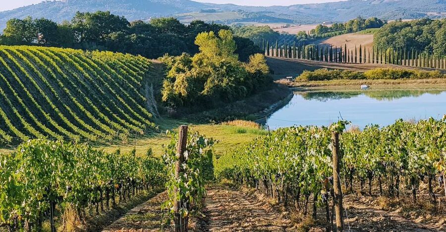 From Florence: Chianti Wine Tastings at Sunset Day Trip - Leaving Florence for the hills of Chianti