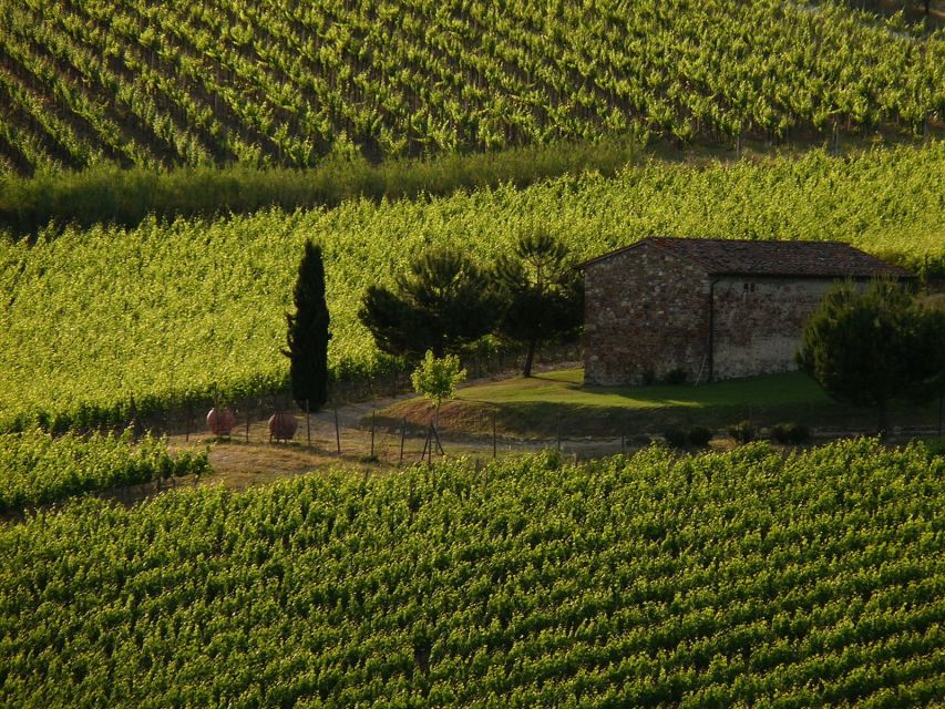 From Florence: Chianti Wine Tastings at Sunset Day Trip - Greve in Chianti and the first taste of the region