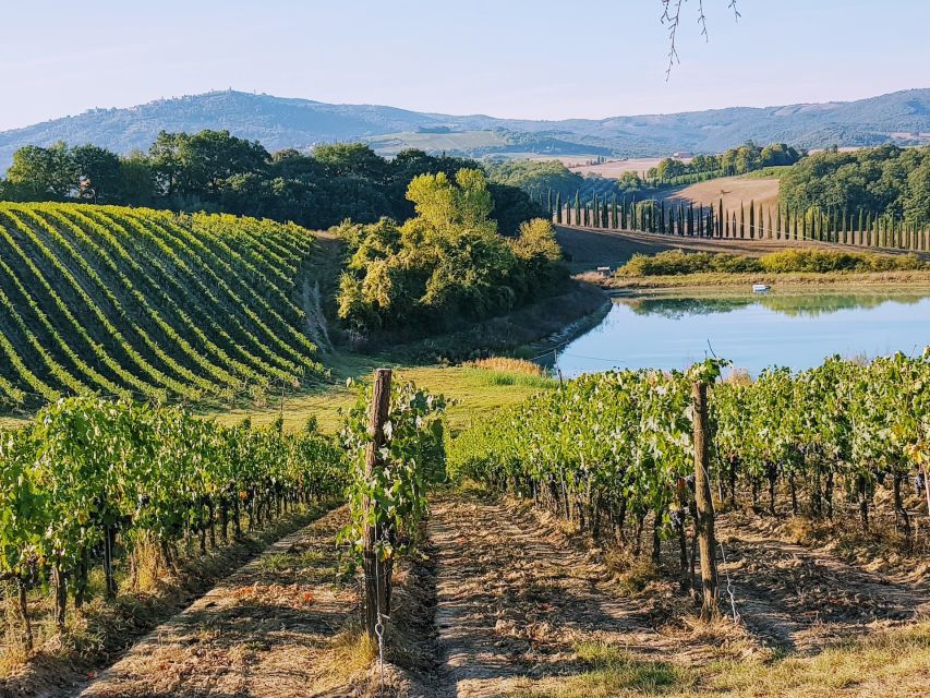 From Florence: Chianti Wine Tastings at Sunset Day Trip - Montefioralle and the medieval hill-country feel