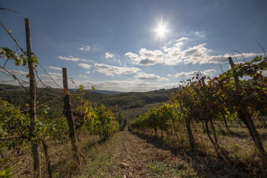 From Florence: Chianti Wine Tastings at Sunset Day Trip - Two wineries, two different personalities