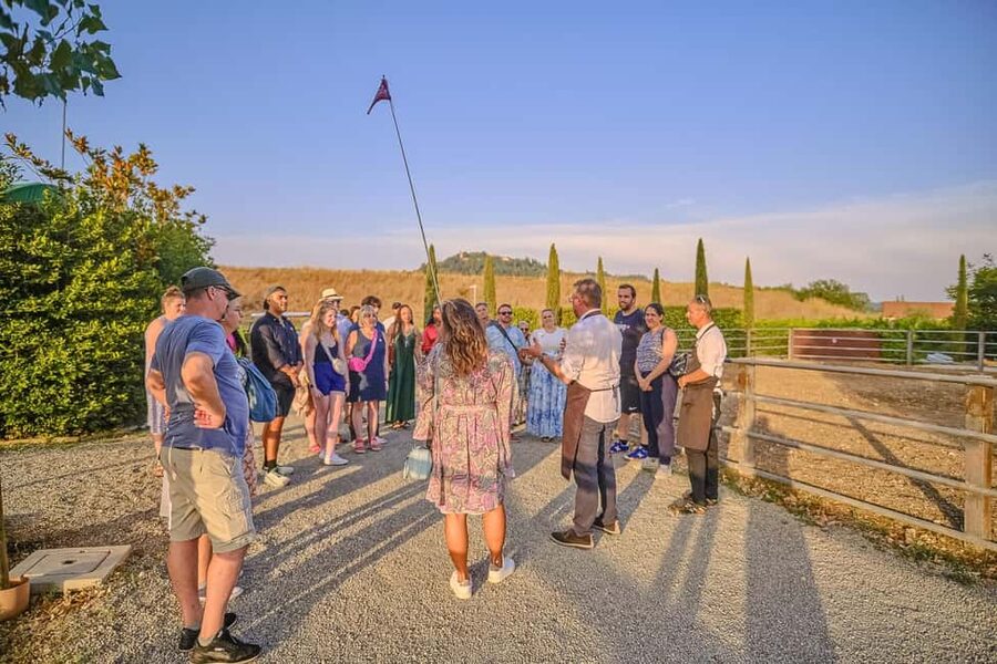 From Florence: Siena and Chianti Day Trip with Dinner - Siena in two hours